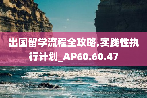 出国留学流程全攻略,实践性执行计划_AP60.60.47