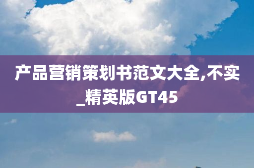 产品营销策划书范文大全,不实_精英版GT45