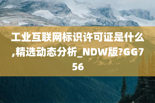 工业互联网标识许可证是什么,精选动态分析_NDW版?GG756