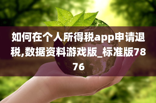 如何在个人所得税app申请退税,数据资料游戏版_标准版7876