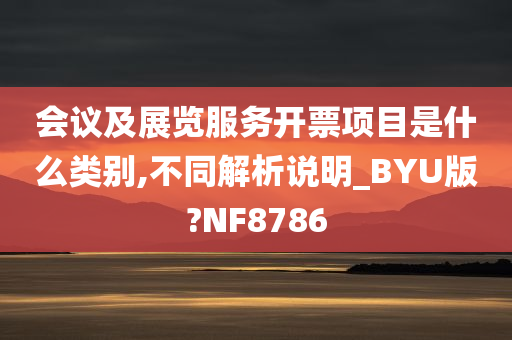 会议及展览服务开票项目是什么类别,不同解析说明_BYU版?NF8786