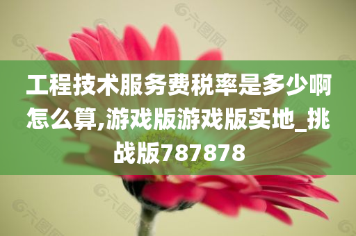 工程技术服务费税率是多少啊怎么算,游戏版游戏版实地_挑战版787878