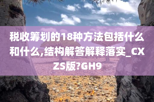 税收筹划的18种方法包括什么和什么,结构解答解释落实_CXZS版?GH9