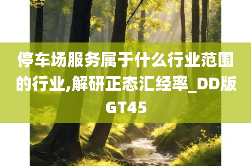 停车场服务属于什么行业范围的行业,解研正态汇经率_DD版GT45