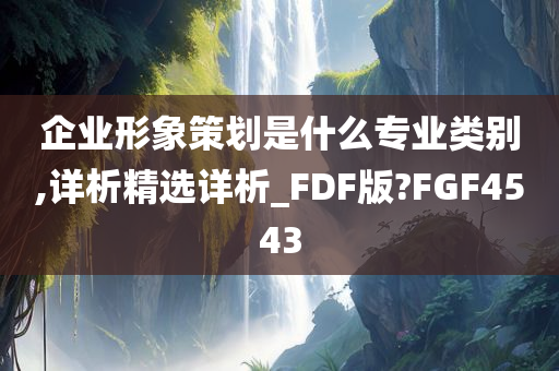 企业形象策划是什么专业类别,详析精选详析_FDF版?FGF4543