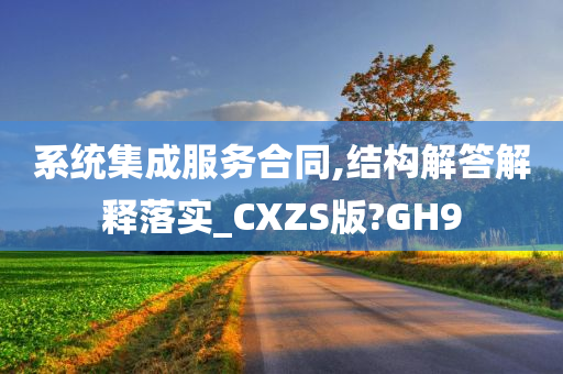 系统集成服务合同,结构解答解释落实_CXZS版?GH9