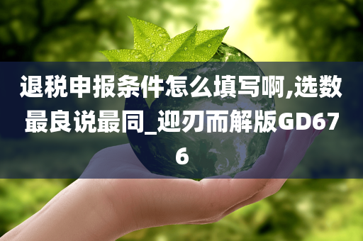 退税申报条件怎么填写啊,选数最良说最同_迎刃而解版GD676