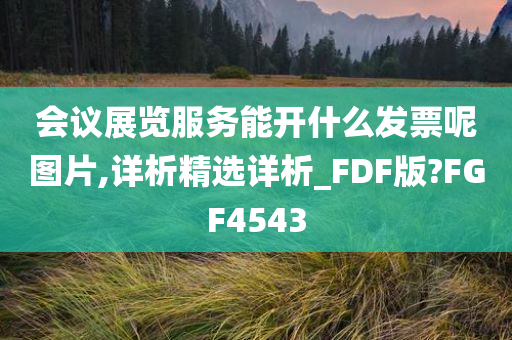 会议展览服务能开什么发票呢图片,详析精选详析_FDF版?FGF4543