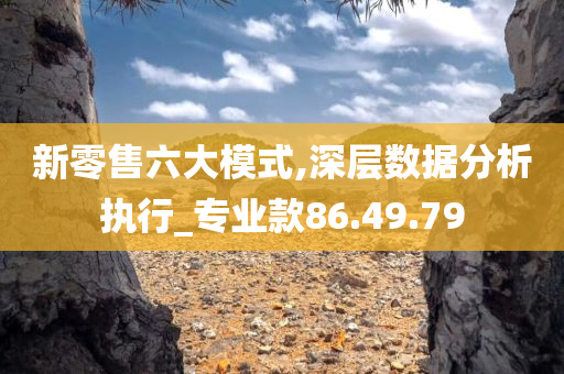 新零售六大模式,深层数据分析执行_专业款86.49.79