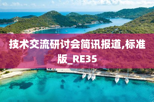 技术交流研讨会简讯报道,标准版_RE35