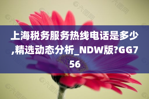 上海税务服务热线电话是多少,精选动态分析_NDW版?GG756