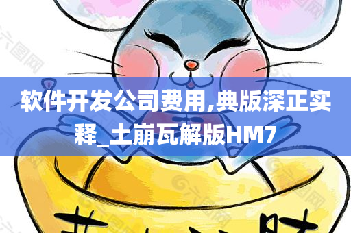 软件开发公司费用,典版深正实释_土崩瓦解版HM7