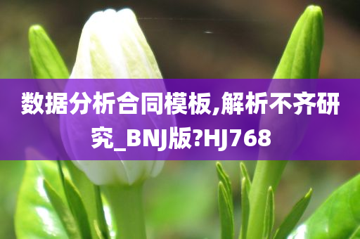 数据分析合同模板,解析不齐研究_BNJ版?HJ768