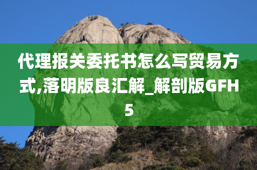 代理报关委托书怎么写贸易方式,落明版良汇解_解剖版GFH5