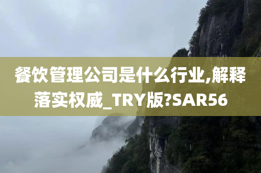 餐饮管理公司是什么行业,解释落实权威_TRY版?SAR56