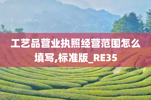 工艺品营业执照经营范围怎么填写,标准版_RE35