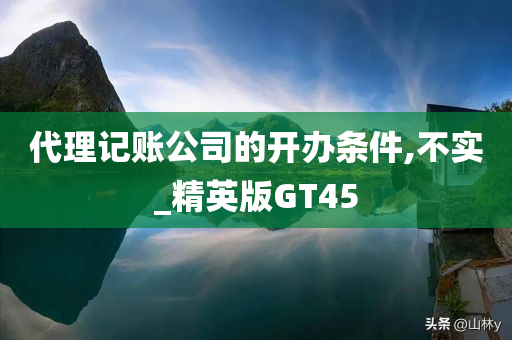 代理记账公司的开办条件,不实_精英版GT45