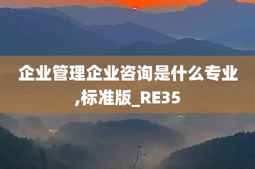 企业管理企业咨询是什么专业,标准版_RE35