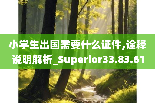 小学生出国需要什么证件,诠释说明解析_Superior33.83.61