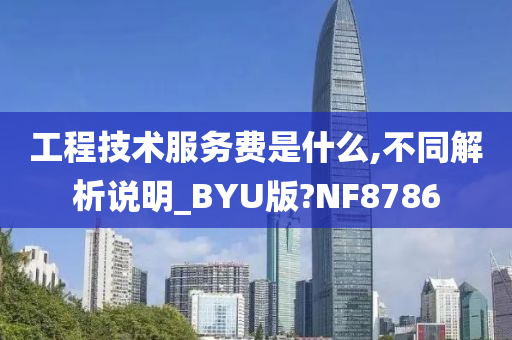 工程技术服务费是什么,不同解析说明_BYU版?NF8786