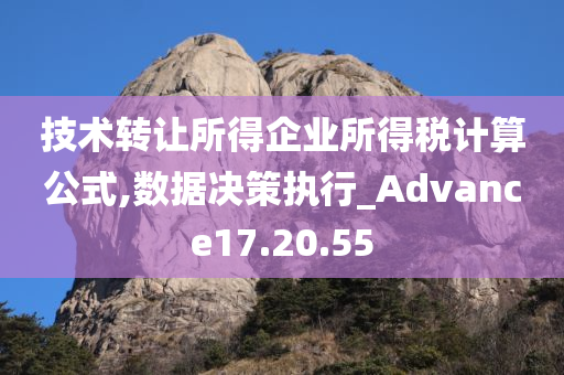 技术转让所得企业所得税计算公式,数据决策执行_Advance17.20.55