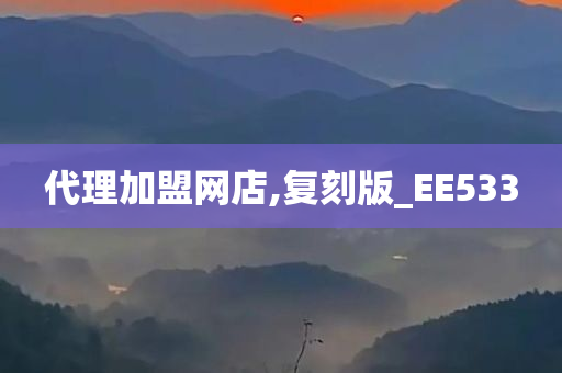 代理加盟网店,复刻版_EE533