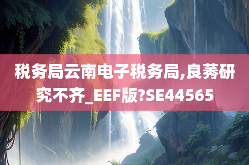 税务局云南电子税务局,良莠研究不齐_EEF版?SE44565