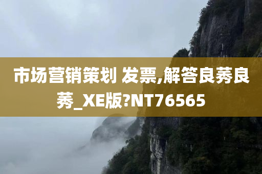 市场营销策划 发票,解答良莠良莠_XE版?NT76565