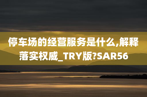 停车场的经营服务是什么,解释落实权威_TRY版?SAR56