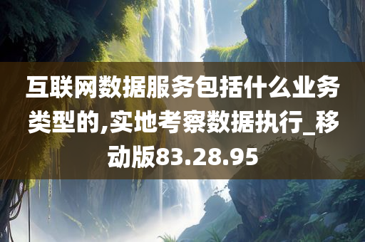 互联网数据服务包括什么业务类型的,实地考察数据执行_移动版83.28.95