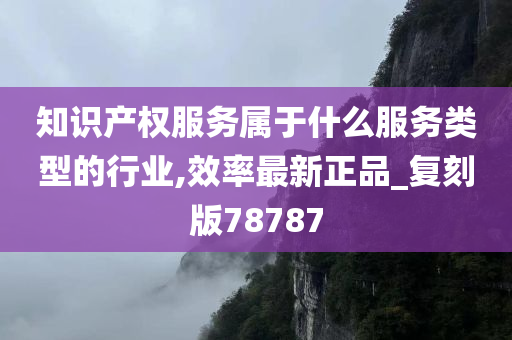 知识产权服务属于什么服务类型的行业,效率最新正品_复刻版78787