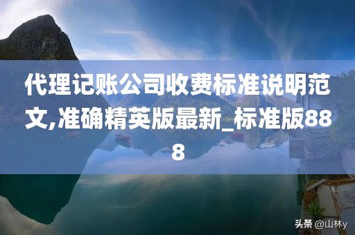 代理记账公司收费标准说明范文,准确精英版最新_标准版888