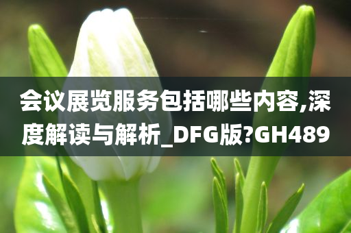 会议展览服务包括哪些内容,深度解读与解析_DFG版?GH489