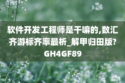 软件开发工程师是干嘛的,数汇齐游标齐率最析_解甲归田版?GH4GF89