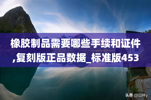 橡胶制品需要哪些手续和证件,复刻版正品数据_标准版453