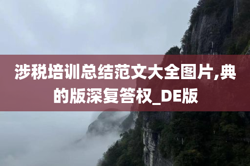 涉税培训总结范文大全图片,典的版深复答权_DE版