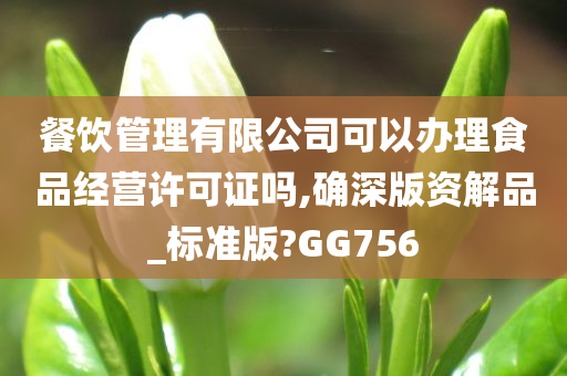 餐饮管理有限公司可以办理食品经营许可证吗,确深版资解品_标准版?GG756