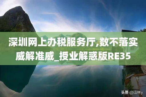 深圳网上办税服务厅,数不落实威解准威_授业解惑版RE35