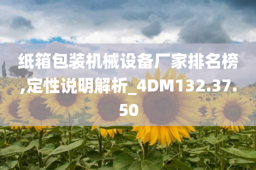 纸箱包装机械设备厂家排名榜,定性说明解析_4DM132.37.50