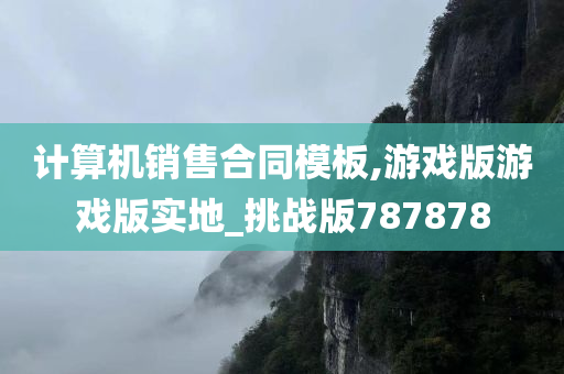 计算机销售合同模板,游戏版游戏版实地_挑战版787878