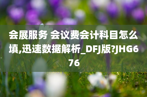 会展服务 会议费会计科目怎么填,迅速数据解析_DFJ版?JHG676