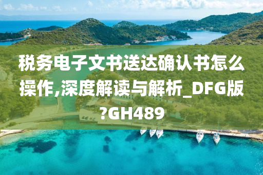 税务电子文书送达确认书怎么操作,深度解读与解析_DFG版?GH489