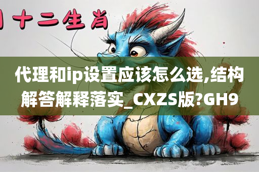 代理和ip设置应该怎么选,结构解答解释落实_CXZS版?GH9