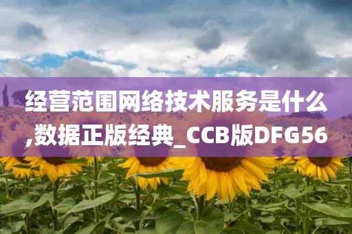 经营范围网络技术服务是什么,数据正版经典_CCB版DFG56