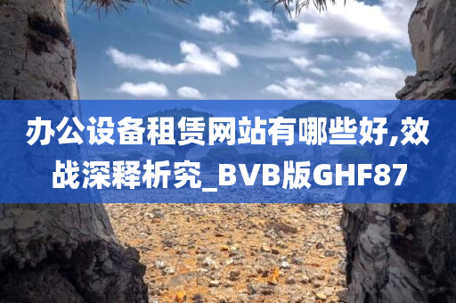 办公设备租赁网站有哪些好,效战深释析究_BVB版GHF87