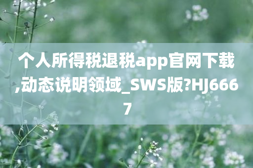 个人所得税退税app官网下载,动态说明领域_SWS版?HJ6667