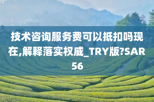 技术咨询服务费可以抵扣吗现在,解释落实权威_TRY版?SAR56