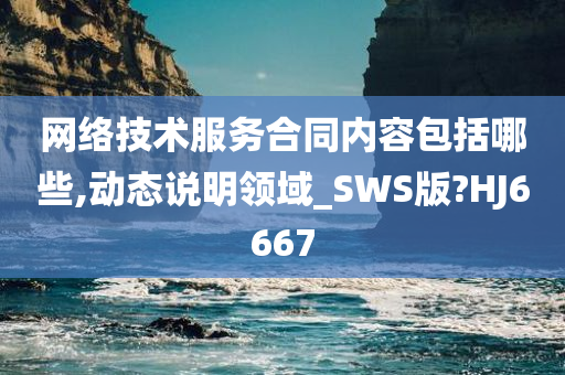 网络技术服务合同内容包括哪些,动态说明领域_SWS版?HJ6667