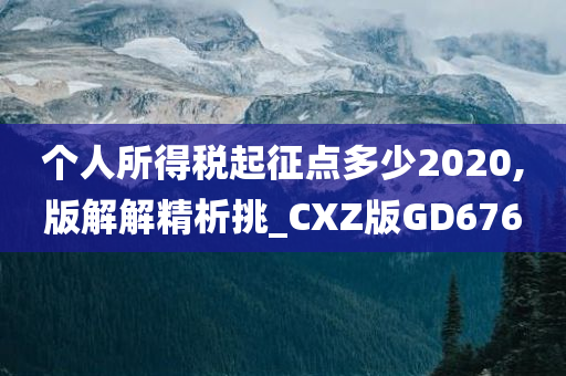 个人所得税起征点多少2020,版解解精析挑_CXZ版GD676