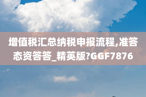 增值税汇总纳税申报流程,准答态资答答_精英版?GGF7876